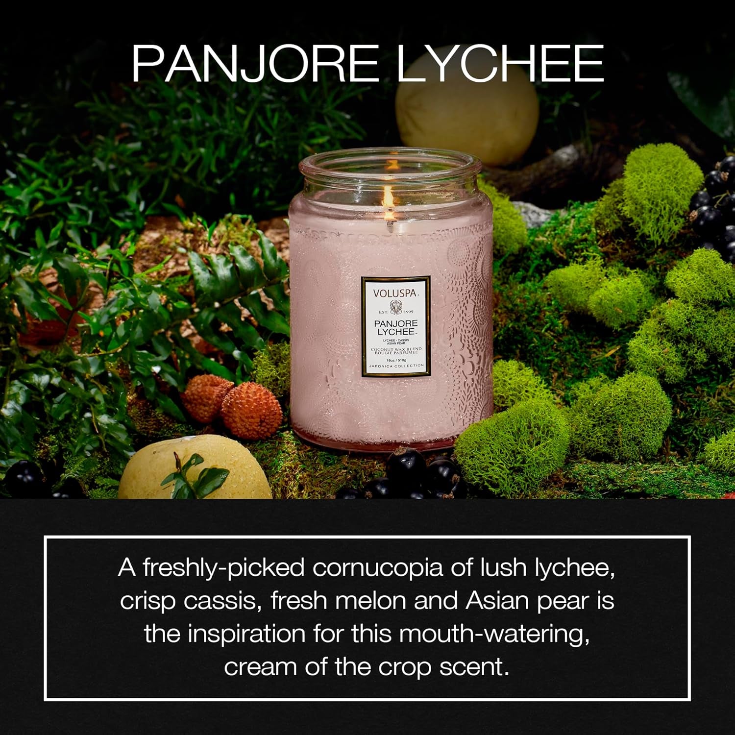 Panjore Lychee, Large Candle Jar, 18 Oz, 100 Hour Burn Time, Coconut Wax for Clean Burning, Handcrafted in the USA